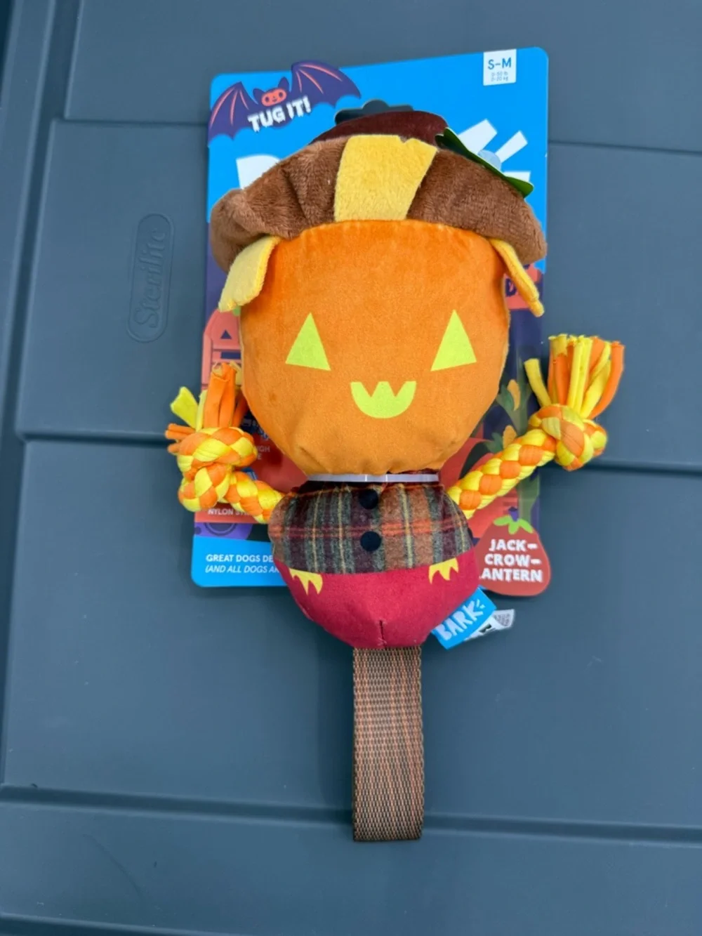 Bark festive pumpkin